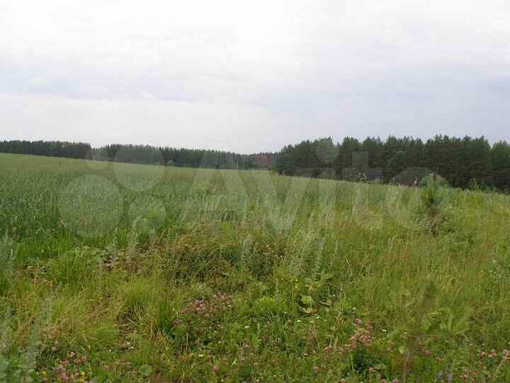 Участок 100 сот. (ИЖС)