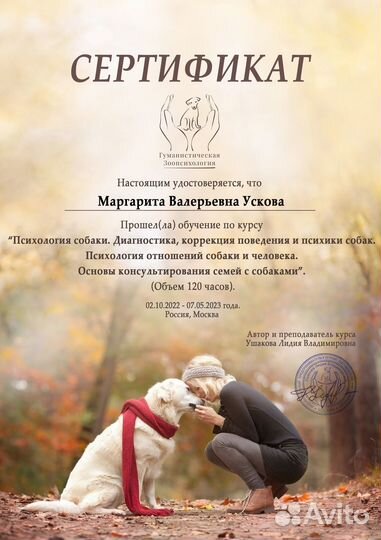 Зоопсихолог, спец. по коррекции поведения собак