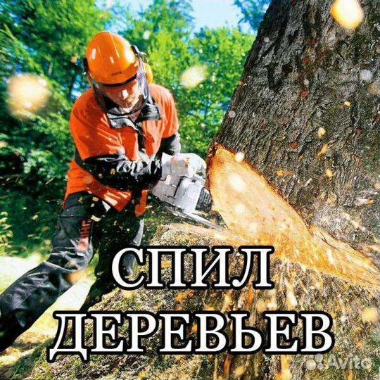 Покос травы