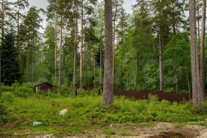 Дом 254,7 м² на участке 45 сот.