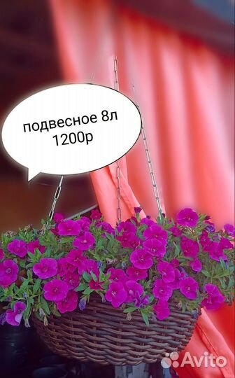 Кашпо из ротанга под заказ