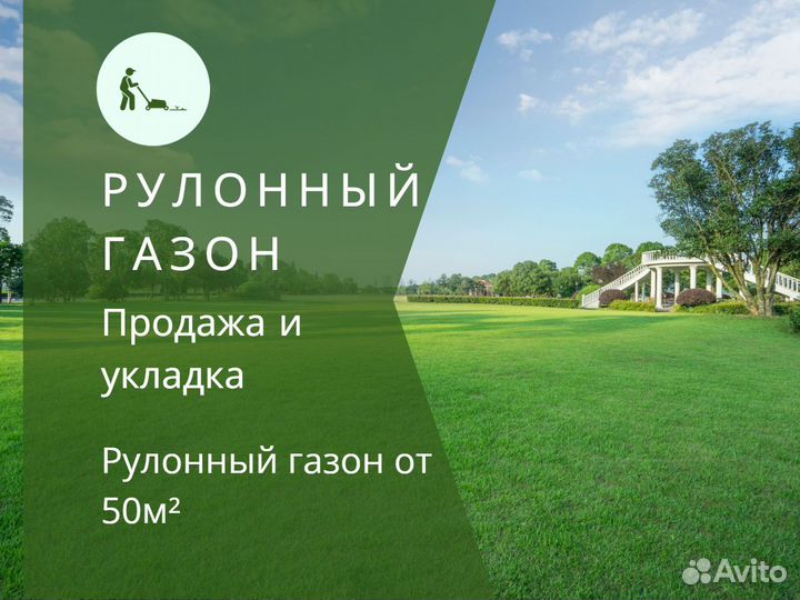 Продажа рулонного газона под ключ
