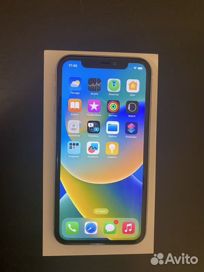 iPhone 11