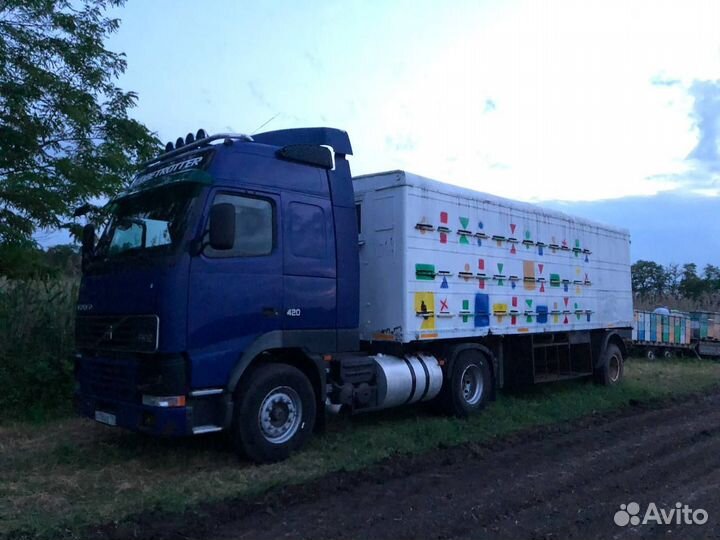 Пчелопавильон, пасека