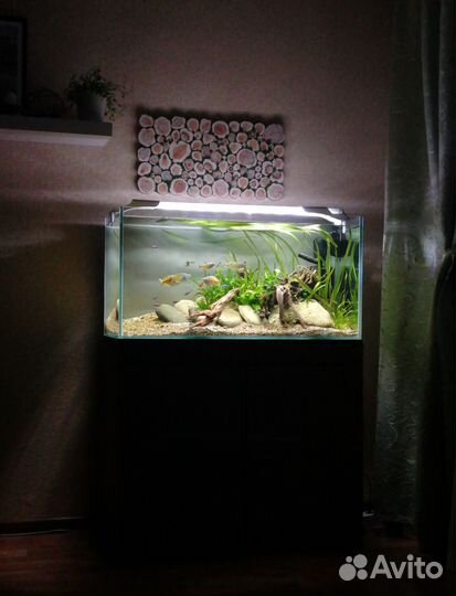 Аквариум действующий