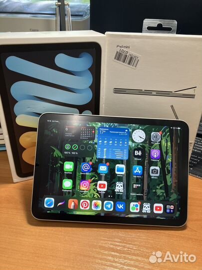 iPad mini 6 (64 gb)