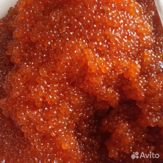 Красная икра 2023