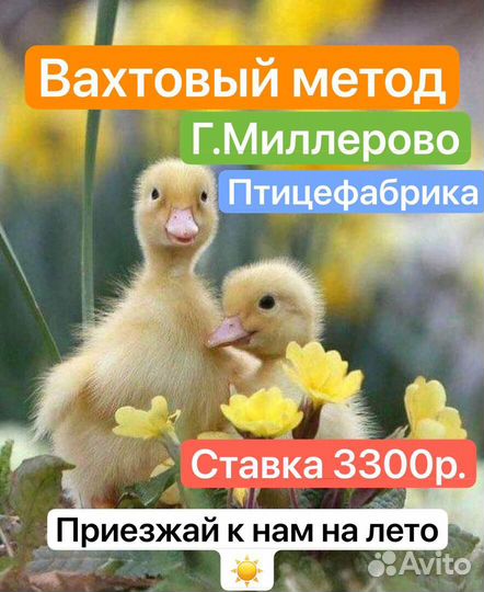 Грузчик на вахту все включено в Миллерово