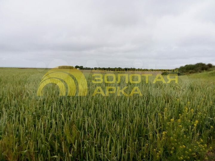 Участок 1,87 га (ИЖС)