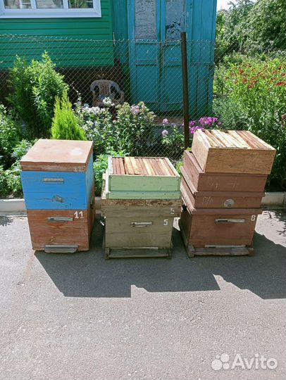 Ульи для пчел бу