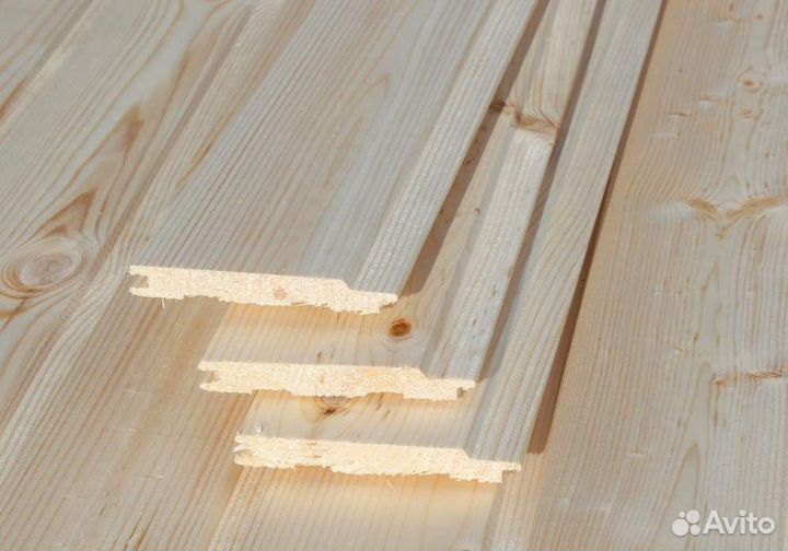 Евровагока (сосна)