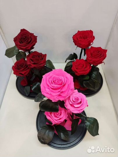 Цветы оптом