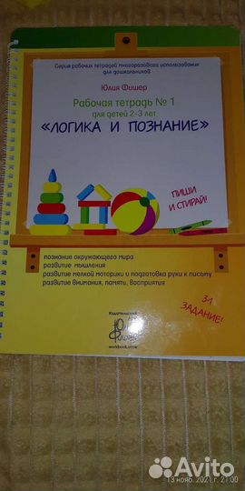 Логика и познание Юлии Фишер