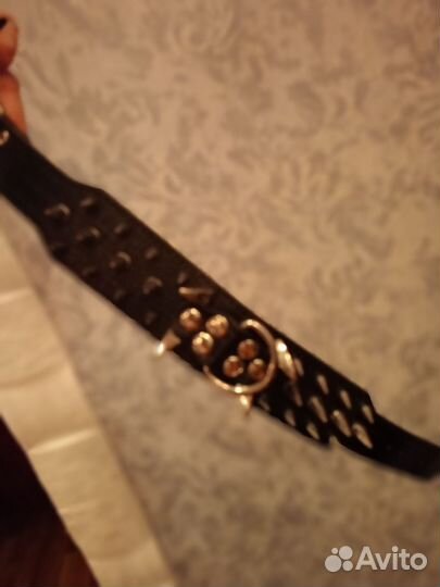 Строгий ошейник для собак