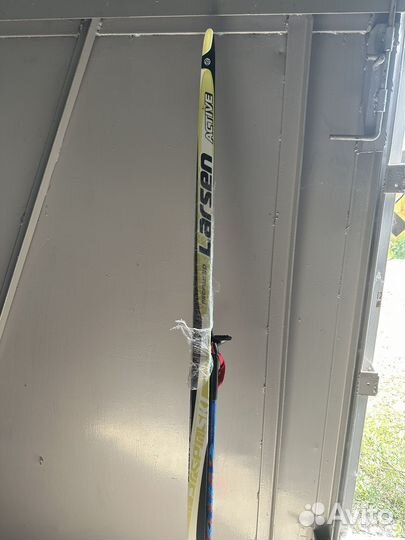 Беговые лыжи