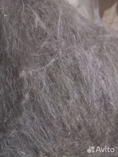 Шерсть овечья деревенская немытая, 1 кг