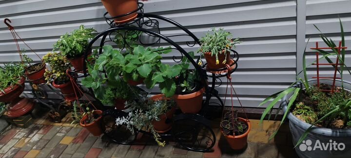 Кованная цветочница