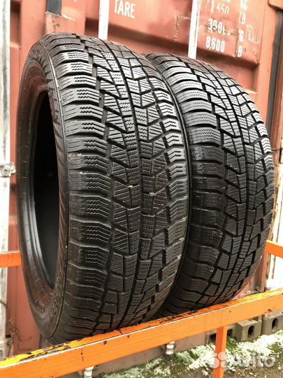 Gislaved Euro Frost 6 195/55 R16