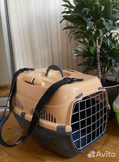 Переноска в аренду (смр, мхг)