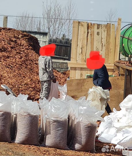 Сортировщик коры