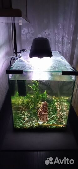 Аквариум 30л