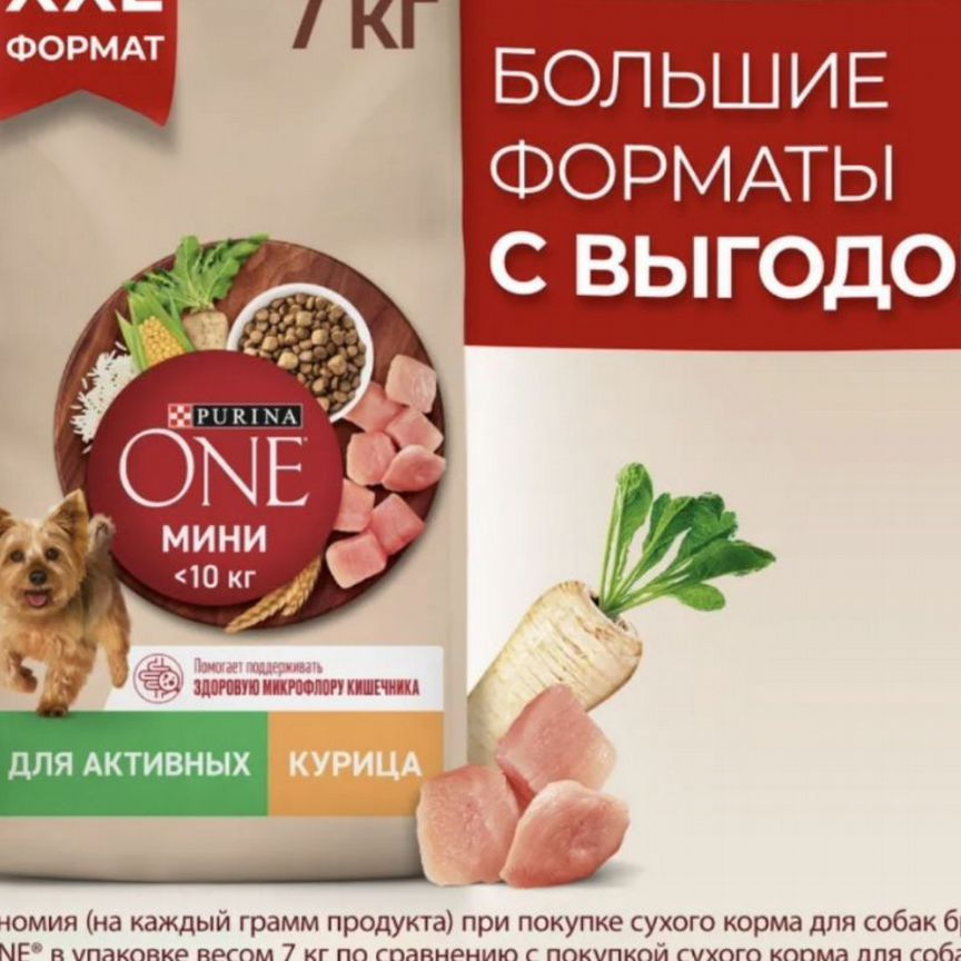 Purina ONE мини с курицей и рисом, 7 кг