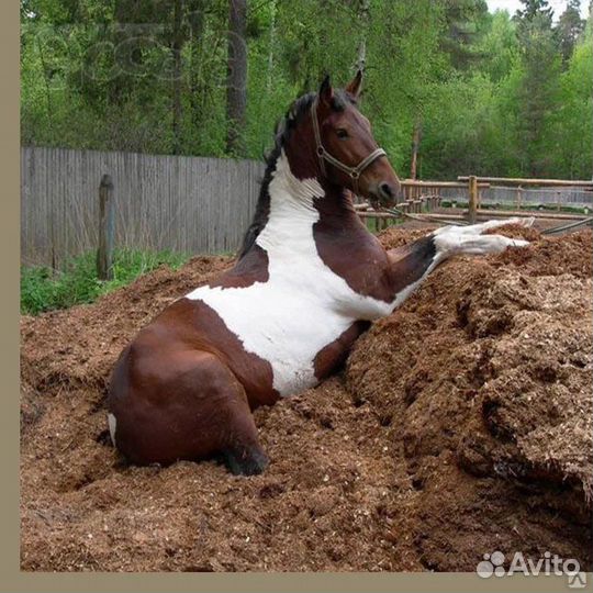 Конский навоз в мешках