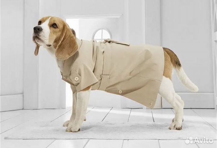 Плащ для собаки новый 3,5-6 кг