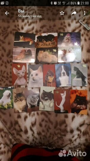 Карманные календарики кошки и собаки