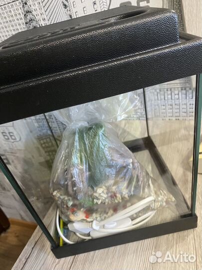 Аквариум 10 л