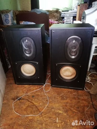 Колонки типа Кливер 100ас-002