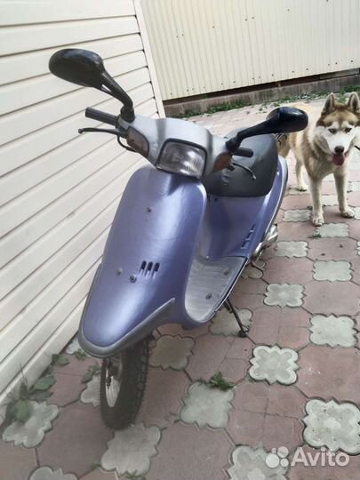 Honda Pal