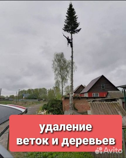 Удаление деревьев