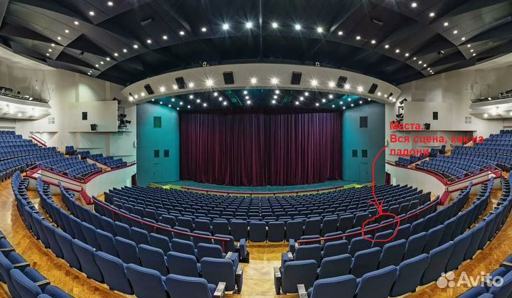 Билеты в Театр Сатиры. Хомо Эректус