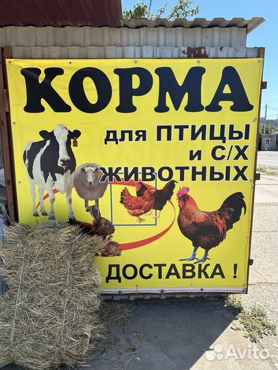 Корма для животных