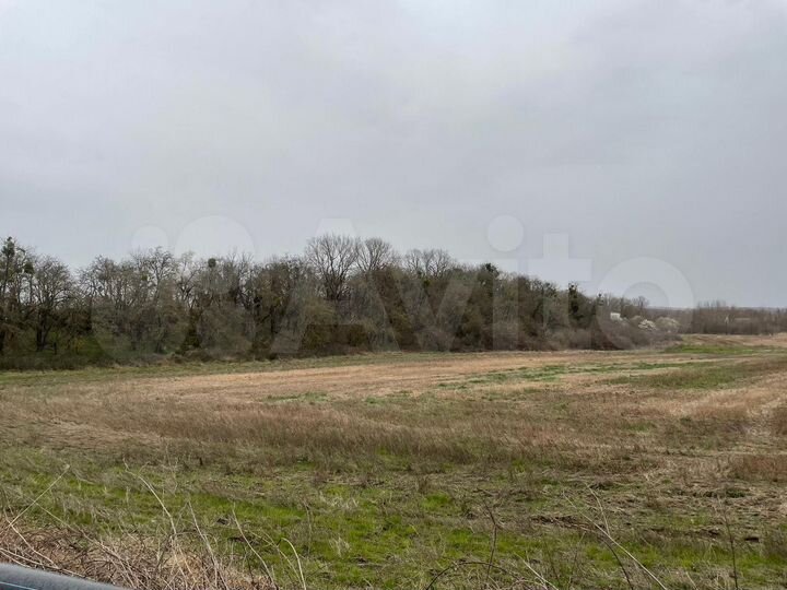 Участок 1,5 га (СНТ, ДНП)