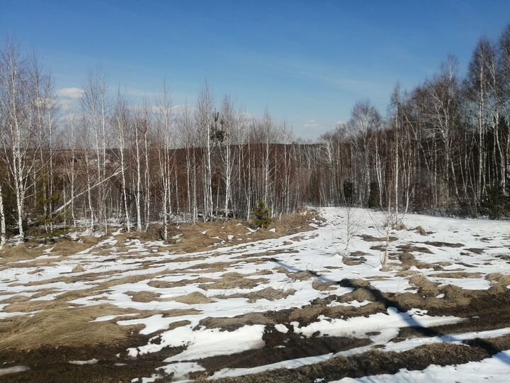 Участок 13 сот. (СНТ, ДНП)