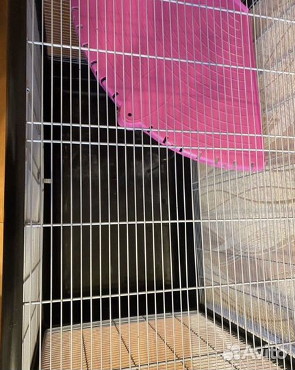 Клетка для грызунов