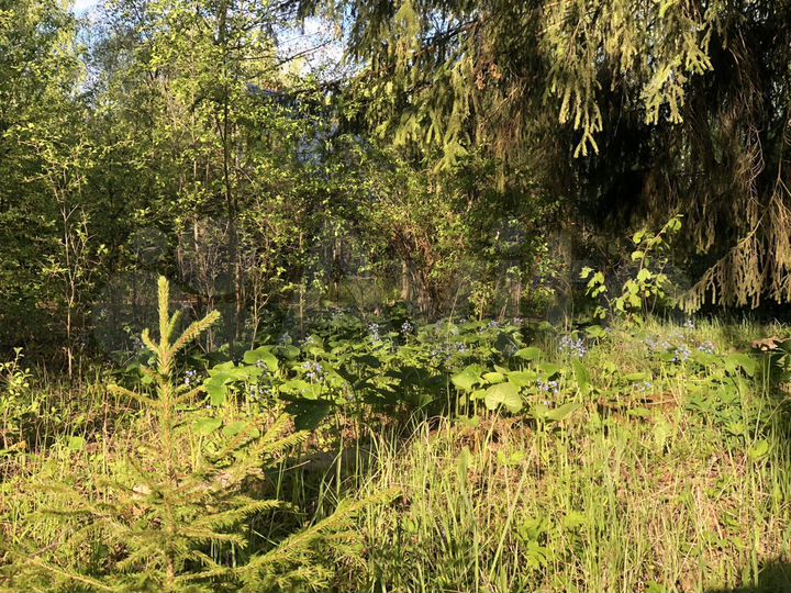 Участок 26 сот. (ИЖС)