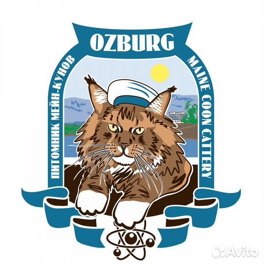 Графический дизайнер / Отрисовка в векторе