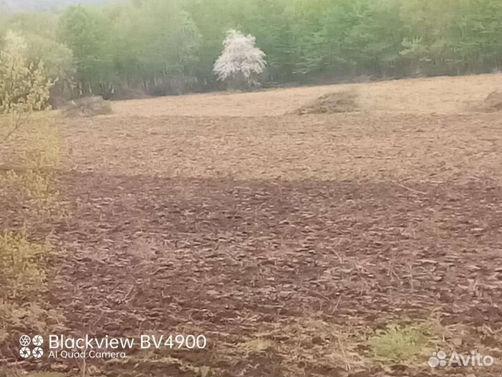 Корчевание деревьев,вспашка,нарезка дороги