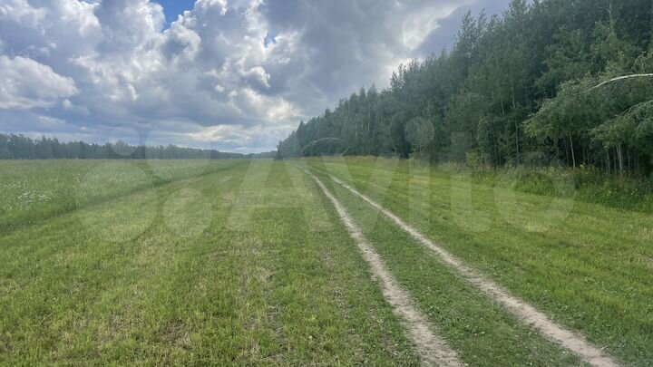 Участок 8,9 сот. (СНТ, ДНП)