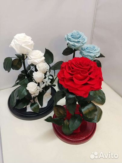 Новогодний подарок / Роза в колбе