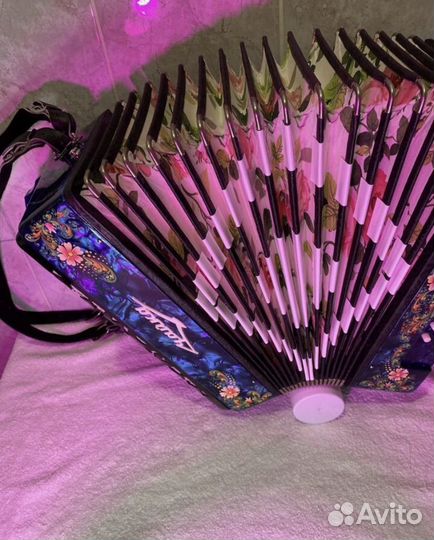 Современная Гармонь Чайка с Регистром Звонкая