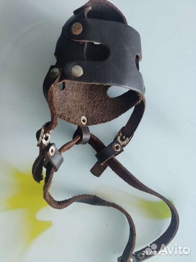 Намордник для собак