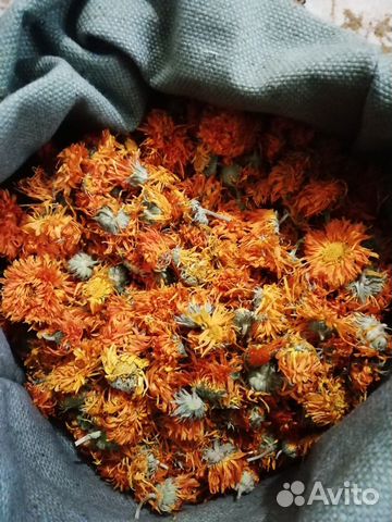 Календула лекарственная семена