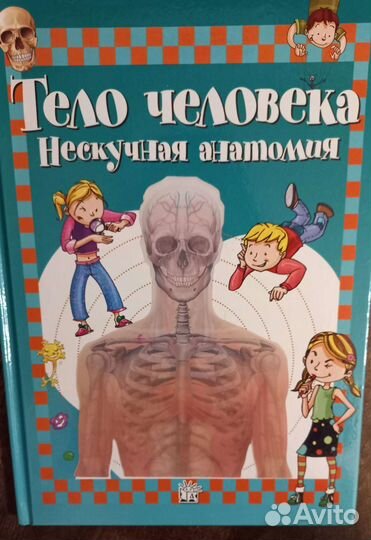 Тело человека. Нескучная анатомия. Детские книги