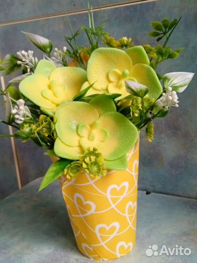 Мыльные орхидеи