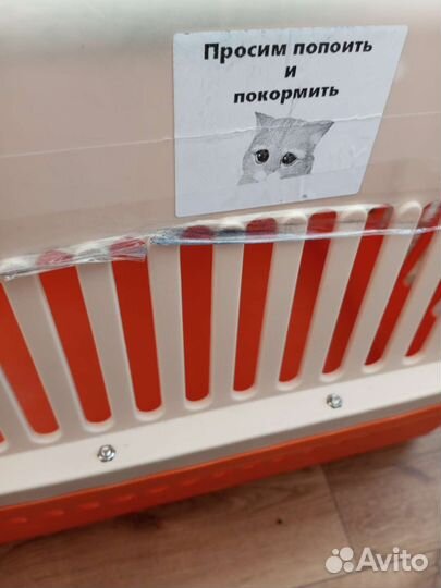 Переноска для собак в самолет