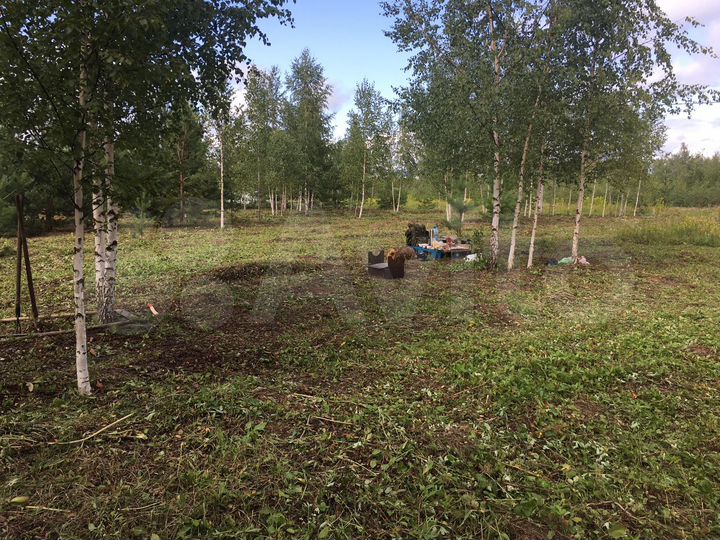 Участок 10 сот. (СНТ, ДНП)